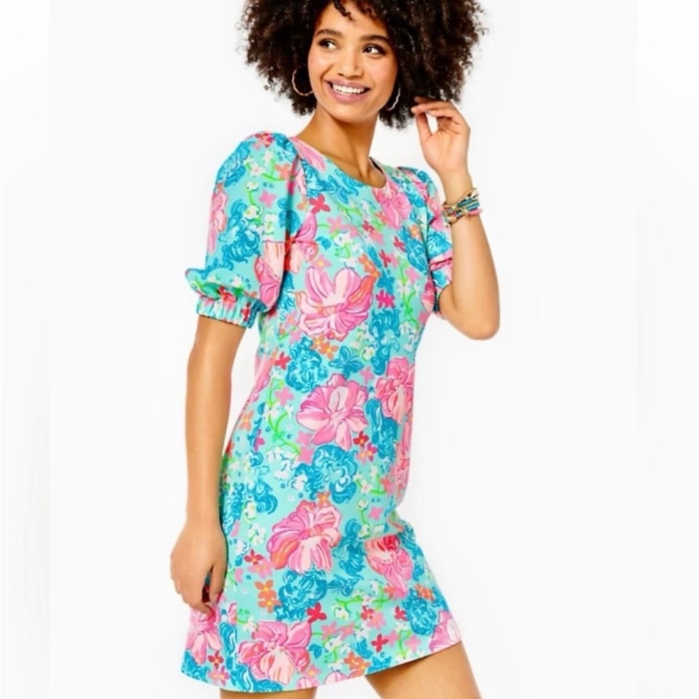 Lilly Pulitzer Cayce Short Sleeve Dress in Surf Blue Luscious Lions Large NWT